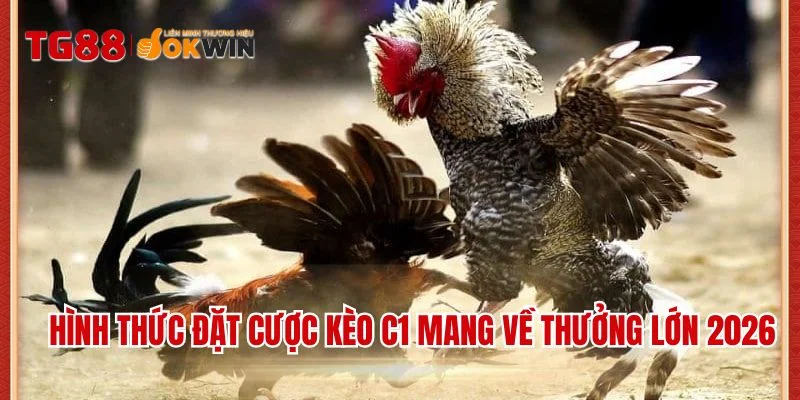 Hình thức đặt cược kèo C1 mang về thưởng lớn 2026
