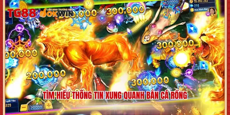 Tìm hiểu thông tin xung quanh bắn cá rồng